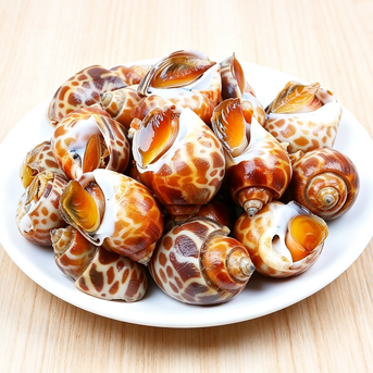 Frozen Exotic Sea Snails