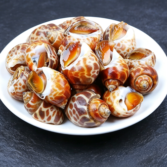 Frozen Exotic Sea Snails