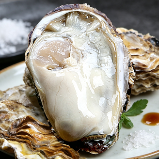 Fresh Frozen Raw Oysters